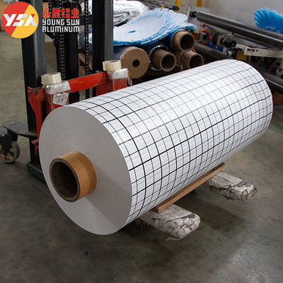 Woven Fabric Printing +PE Extruding Black And White Checkered Printed